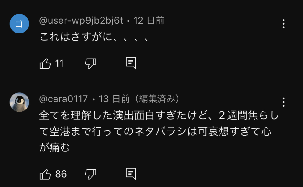 けーさんとたろー炎上動画のコメント欄画像