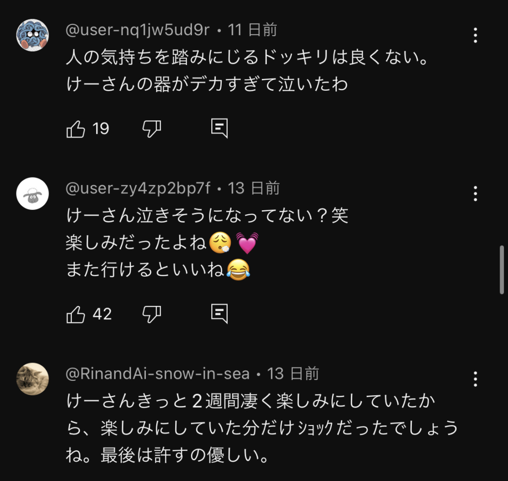 けーさんとたろー炎上動画のコメント欄画像
