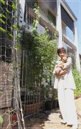 小池百合子の自宅の画像